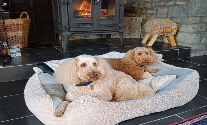Woodburner, Dog Friendly, Dogs Stay Free, Rural Retreat, Walks from the Door, Spacious and Cosy Living Room